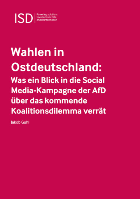 AfD State Elections Campaign on Social Media 3 4